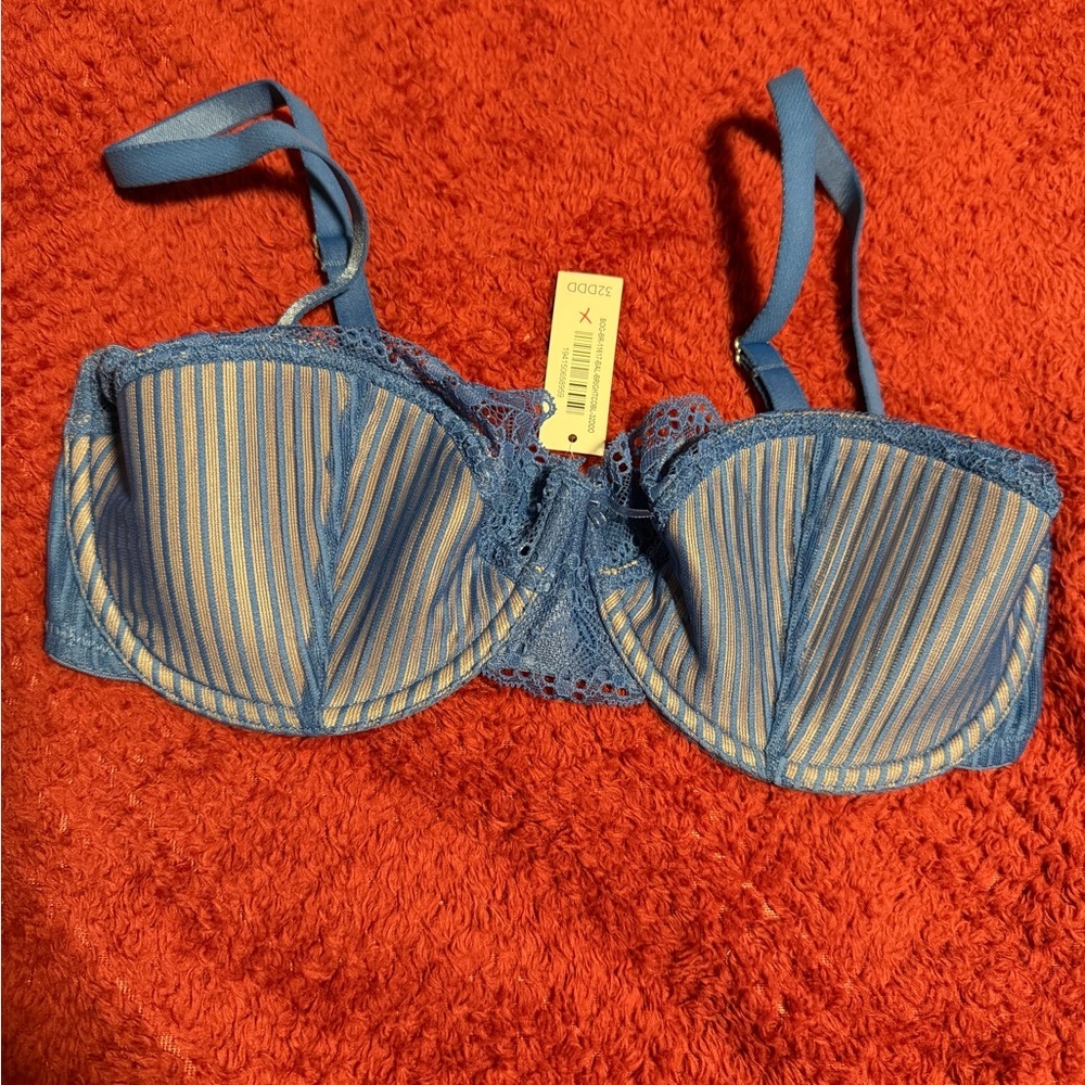 Adore Me Blue and Beige Lace Bra